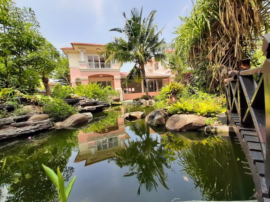 fishpond1 fishpond1