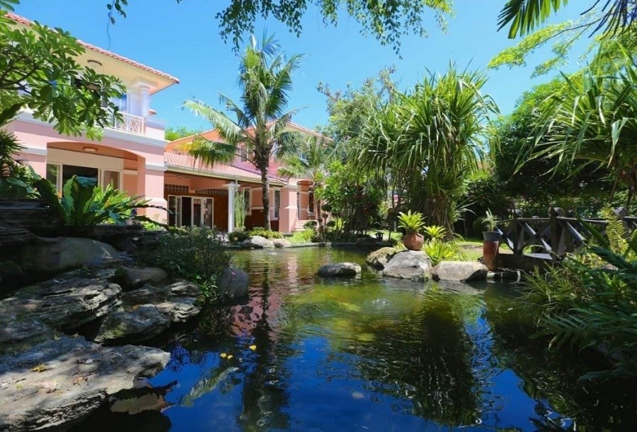 fishpond fishpond
